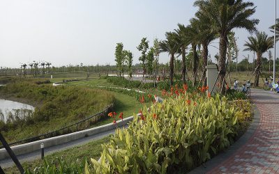信實公司於110年1月1日起承接國立故宮博物院110年南部院區除草及植栽維護案